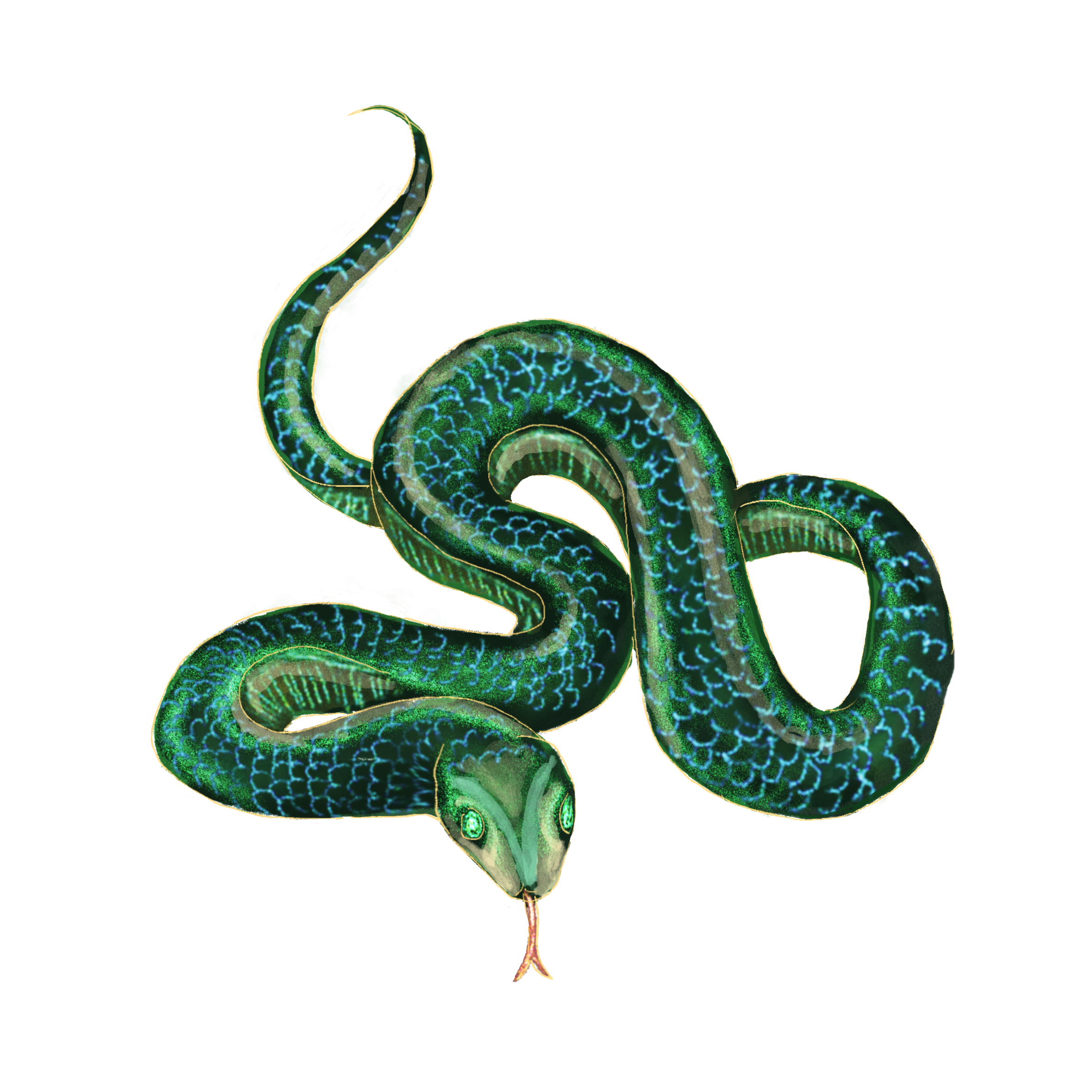 Snake
