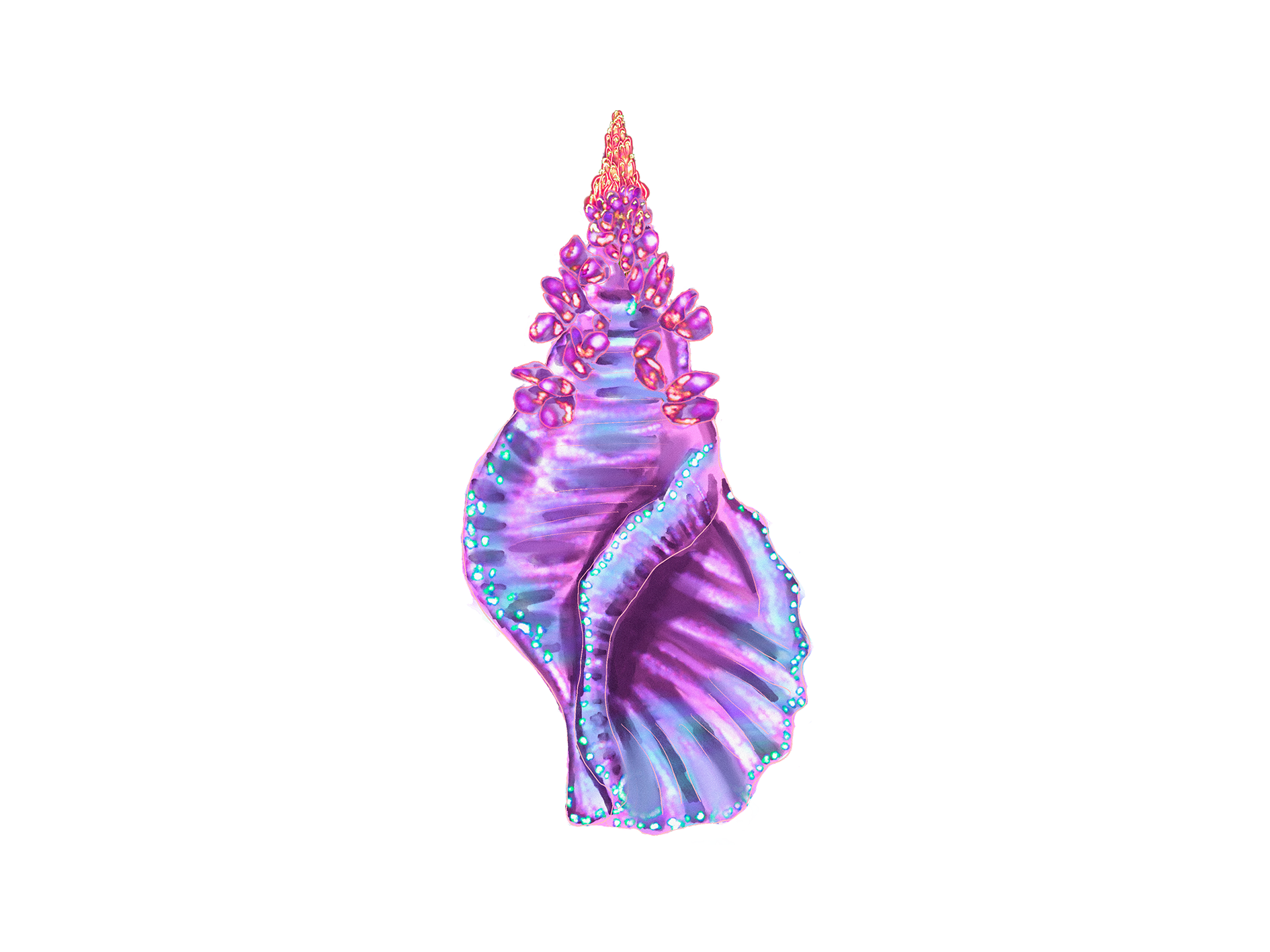 🐚 Spiral shell