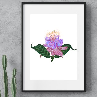 Magical Flower ~ A4 Art Print