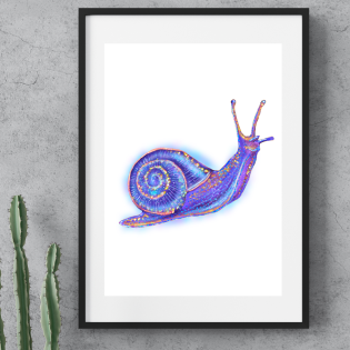 Snail ~ A4 Art Print