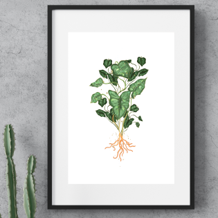 Plant Magic ~ A4 Art Print