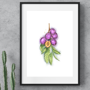 Magical Plumbs Art Print