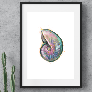 Enchanted Sea Shell ~ A4 Art Print